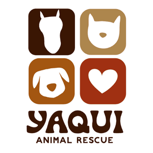 Logo for Yaqui Animal Rescue featuring stylized icons of a horse, cat, dog, and heart in four colored squares above the organization's name, symbolizing their mission supported by grants funding.